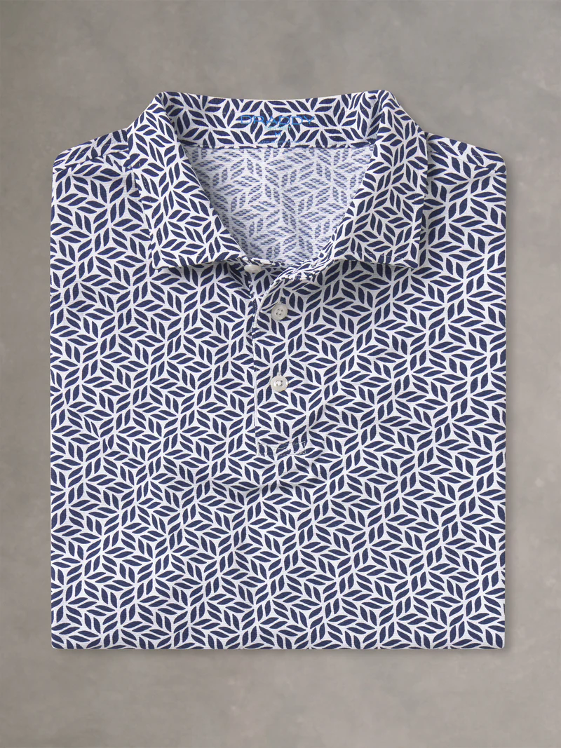 B. Draddy Cool Wesley Polo in Regal