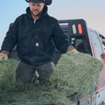 Carhartt Quilted-Flannel-Lined Duck Active Jac
