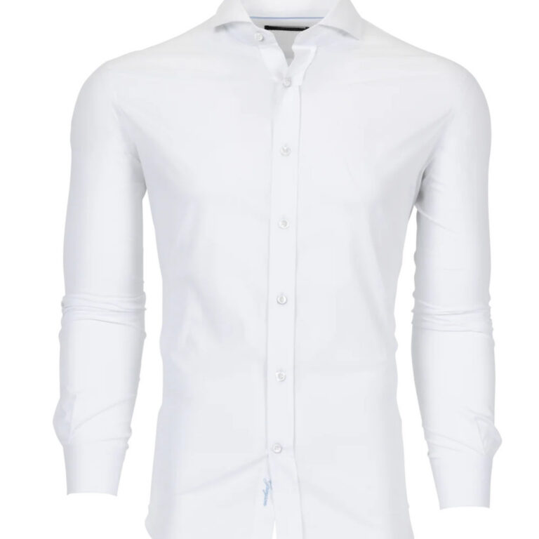 Greyson Omaha Dress Shirt in Arctic