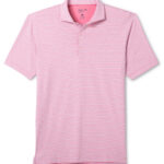 Johnnie-O Michael Performance Polo in Palm Beach