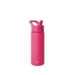 Simple Modern Summitt Water Bottle 18oz in Berry Twist