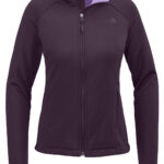 The North Face Women’s Chest Logo Ridgewall Soft Shell Jacket